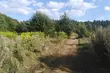 Pogoda na poniedziałek. Słoneczny początek tygodnia