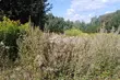 Przed nami kolejny pogodny dzień 