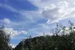 Pogoda na 20 sierpnia. Czeka nas przewaga chmur czy słońca?