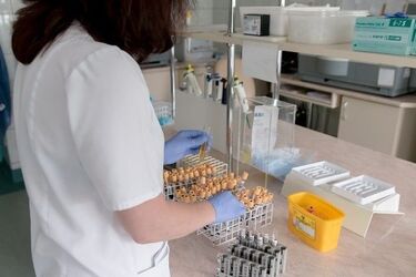 Czy będzie masowe testowanie uczniów przed rozpoczęciem roku szkolnego?