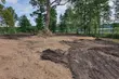 Huśtawka i altana na dawnym cmentarzu. Właściciele: 