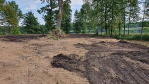 Huśtawka i altana na dawnym cmentarzu. Właściciele: "Gdybyśmy wiedzieli..."