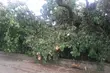 IMGW ostrzega. Nad miastem mogą przejść burze z gradem