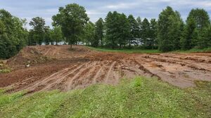 Zbezczeszczenie pochówku i zniszczenie zabytku - konserwator ws. cmentarzyska