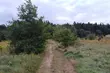 Więcej przejaśnień w ciągu dnia