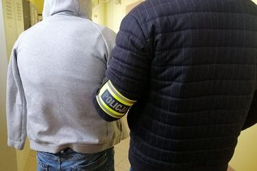 Nakradli na 2,5 mln zł. Wpadł kolejny z członków szajki