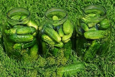 Dzień Ogórka w Kruszewie. Będą konkursy m.in. na najdłuższego albo najdziwniejszego ogórka