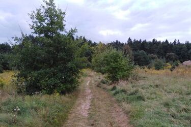 Pogoda na poniedziałek. Pojawi się sporo przejaśnień