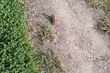 Z wysokim ciśnieniem i sporą ilością promieni słońca - taki będzie wtorek w mieście
