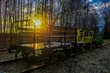 Zabytkowe kolejki w Białowieży. Stan linii drezynowej został poprawiony