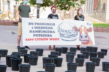 Ile wody potrzeba do produkcji hamburgera? Uliczna akcja promująca wegetarianizm