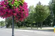 Pogoda na weekend. Jakiej temperaury możemy się spodziewać?