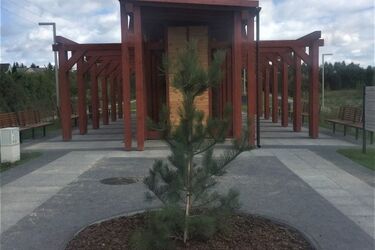 Wkrótce otwarcie bulwarów w Choroszczy – jest skatepark, tężnia, siłownia, plac zabaw