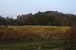 Pogoda ponownie dopisze. Ile stopni zanotują dziś termometry?