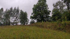 Cmentarz staroobrzędowców zabytkiem a nie prywatną plażą