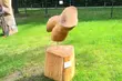 Plenerowa rzeźba w drewnie. Nowa wystawa w Muzeum Rzeźby