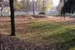Coraz chłodniej i deszczowo, ale w końcu mamy jesień