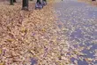 Pogoda na poniedziałek. Ile stopni pokażą termometry w Białymstoku?