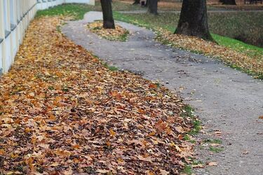 Skok temperatury, a spadek ciśnienia
