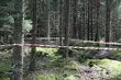 Niebezpieczne znalezisko w podlaskim nadleśnictwie