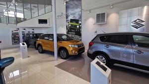 #BiznesWKoronie. Branża motoryzacyjna cierpi, a lepszych czasów nie widać