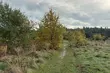 To już ostatni poniedziałek października