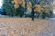 Pogoda na weekend. Niewykluczone są opady deszczu