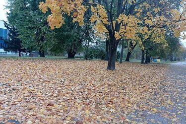 Pogoda na weekend. Niewykluczone są opady deszczu