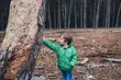 Linia Nadziei, czyli numer do zgłaszania zaginięć i uzyskiwania porad