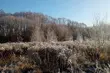 Pochmurna środa w mieście