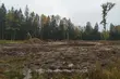 Król Puszczy pod ochroną