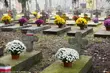Setki chryzantem ustawiono na cmentarzu wojskowym [ZDJĘCIA]