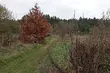 Końcówka tygodnia z przelotną mżawką