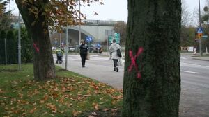 Setki różowych "X" wzdłuż al. Tysiąclecia. Rozpoczęła się wycinka i rozbudowa [ZDJĘCIA]