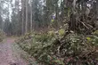 Pochmurny początek tygodnia