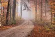 Spacer po pasie drogi granicznej to droga 