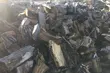 Darmowy opał dla potrzebujących