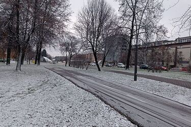 Rozpoczynamy grudzień. Pierwszy dzień zapowiada się dość mroźno