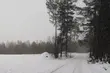 Pogodnie, ale dość mroźno