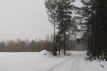 Pogodnie, ale dość mroźno
