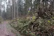Pojawi się więcej chmur. A w nocy nadal mróz