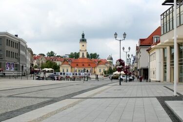 Zamiast fanfary miała być grana "Oda do radości". Muzeum odmówiło