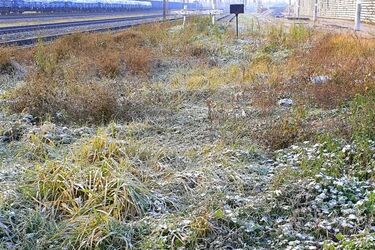 Początek tygodnia z opadami śniegu. Zapowiada się kolejny chłodny dzień