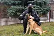 Nastolatkowie kradli grzejniki. Włamywaczy wytropił Larry