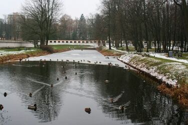Weekend zaskoczy nas promieniami słońca. Temperatura na plusie