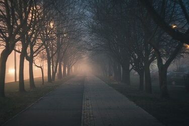 Napaść na Nowym Mieście. 34-latek trafił do szpitala