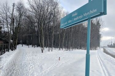 Ławeczki, oświetlenie i stoły do gier. Powstanie klimatyczna alejka