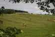 Podlasie straciło pięć wsi
