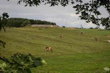 Podlasie straciło pięć wsi