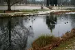 Piątek przyniesie lekki mróz i opady śniegu